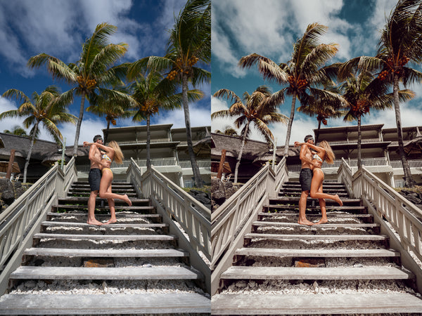 Dual Passports Preset Pack